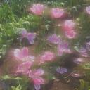 garden ‹3 (WIP) Icon