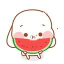 ✴ Watermelon ✴ Icon