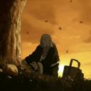 oasis of tranquility Icon