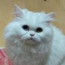 Morkretsherre'nin AİLESİ Icon