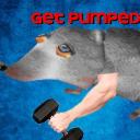 🐀GYMRAT CENTRAL🐀 Icon