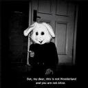 EdwardoRetardo's Bungalo Icon