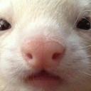 The world of role Icon