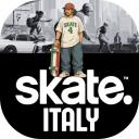 Skate™ - ITALY Icon