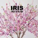 Brighten Development Icon