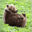 ҎƦØỮƮ ȻİƮɎ ?? (??espace jaune??) Icon