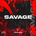 Savage Icon