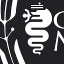 GIUGIARRO MANSION Icon