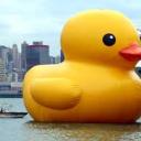 The Friend Zone Icon