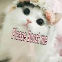 Cats Of Discord Icon