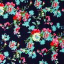 Scholae Romania Icon