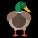 ?Duck | Selling? Icon