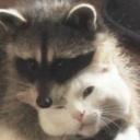 ｷ ִ ۫  sukai ੭・ Icon