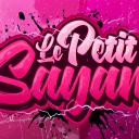 🎮 Communautés du PetitSaiyan Icon