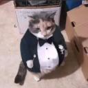 El Séptimo Día Icon