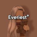 Everiest° Icon