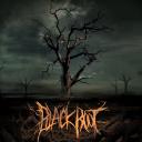 BlackRoot Icon