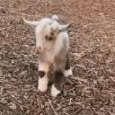 Ontmoetingscentrum Icon