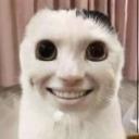 The talking stage Icon