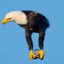 Racx gaming world Icon