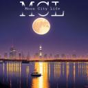 Mooncity Life rp Icon