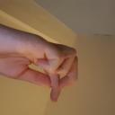 Memmy's Fan Club Icon