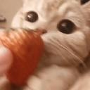 ₊˚⊹ Chloee’s Café ୧ 🌸  ༘ ₊˚. Icon