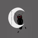 Nocturnous Icon