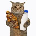 team multi mensos Icon