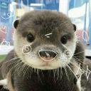 The world of otters.de Network Icon