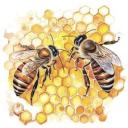 Honeycomb Hangout Icon