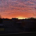 elricpro_yt’s discord server Icon