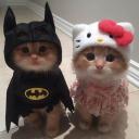 Robert Settings Icon