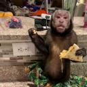 The Mustard Cavern Icon