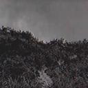 A Random Godzilla Roleplay Serve Icon