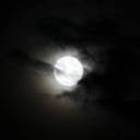 Parada da Meia Noite Icon