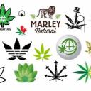 psychedelics shop Icon