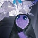 The Cozy Commons Cabal Icon