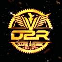 D2R ESPORTS Icon