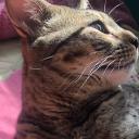 4mr!n4’s s€rv£r! Icon