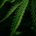 XcReDiBiLX`s Community Icon