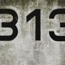 313 Icon