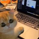 QuynhNguyen Community Icon