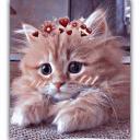 ˚ ༘♡ ⋆｡˚The good shit˚ ༘♡ ⋆｡˚ Icon