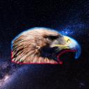Eagle Universe Community Icon
