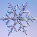 ❄️ Snow Flakes ❄️ Icon