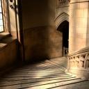 ⌜(16+) forest lake academy⌟ Icon