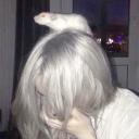 the rat cage !! Icon