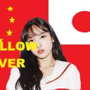Yellow Fever Icon
