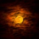 Warriors The new beginning (18+) Icon